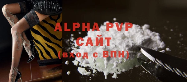дживик Няндома