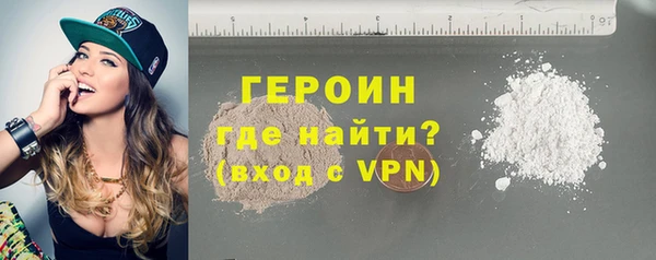 дживик Няндома