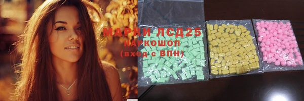 дживик Няндома