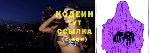 дживик Няндома