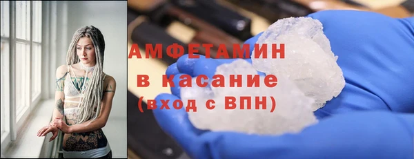дживик Няндома