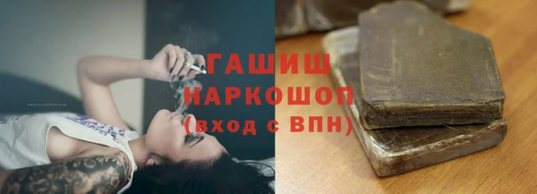 дживик Няндома