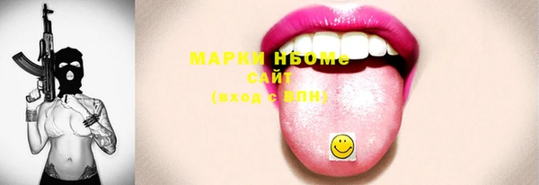 дживик Няндома