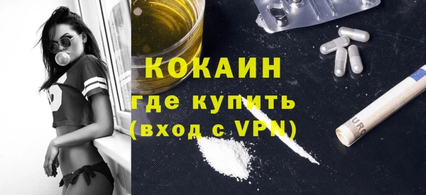 дживик Няндома