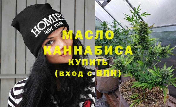 дживик Няндома