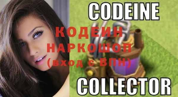 дживик Няндома
