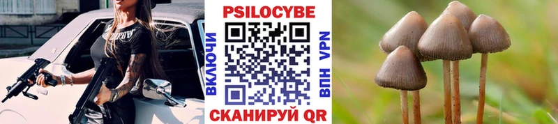 Псилоцибиновые грибы MAGIC MUSHROOMS  Чекалин 